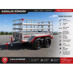 Tek Dingil Römork 1